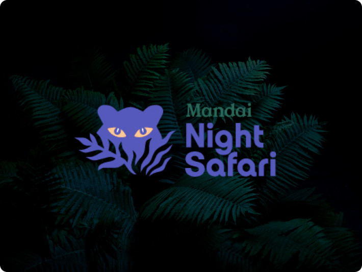 Night Safari Tour